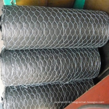 Hot Dipped Galvanized Hexagonal Wire Netting for Chicken Wire